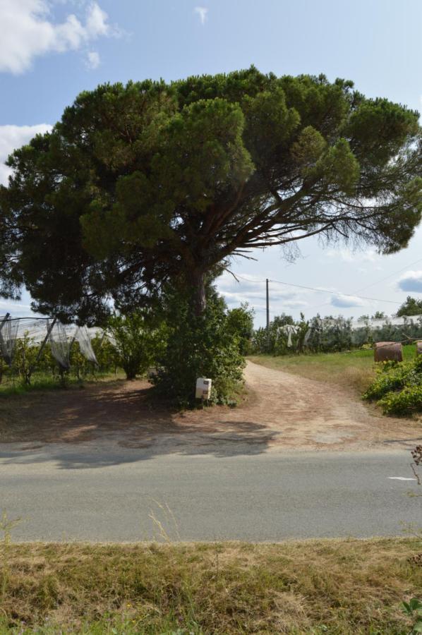 Gite Rural De Caractere Guérin 외부 사진